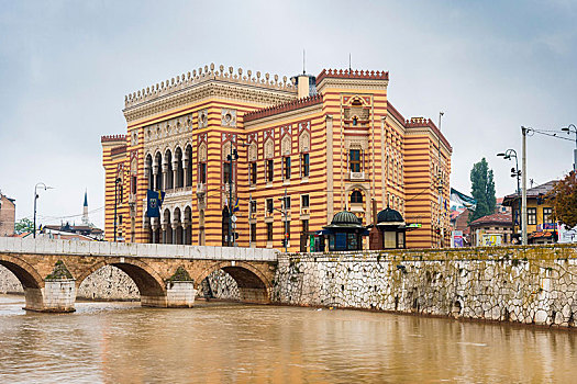 市政厅,国家,大学图书馆,萨拉热窝,老城,波斯尼亚,黑塞哥维那,欧洲