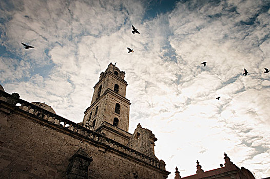 鸟,飞翔,上方,大教堂,塔
