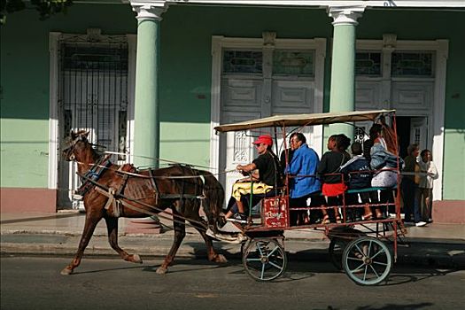 马,马车,出租车,服务,西恩富戈斯,古巴,加勒比海,美洲