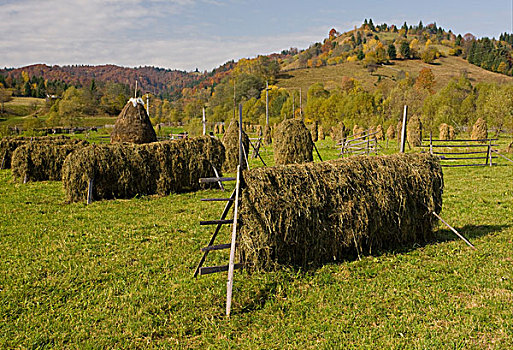 干草,架子,草地,南方,布科维纳,北方,罗马尼亚,欧洲
