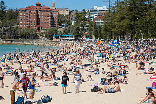 拥挤,男人味,海滩,悉尼