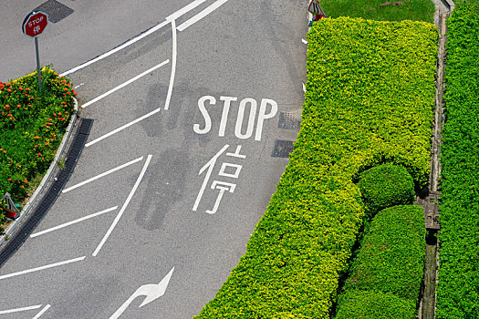 香港道路上的停车字样