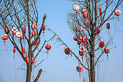 2016春节期间重庆南岸区江南大道路边树上悬挂的风鼓