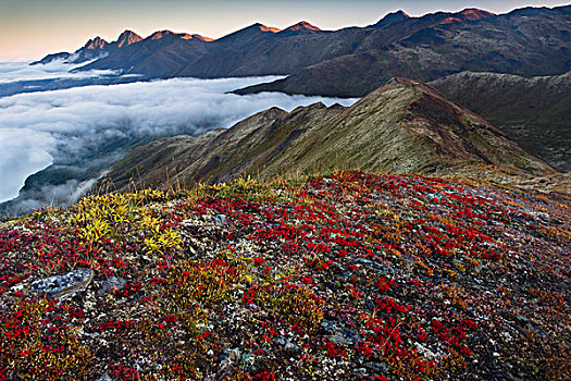 景色,山脊,雾,远景,楚加奇州立公园,阿拉斯加,秋天