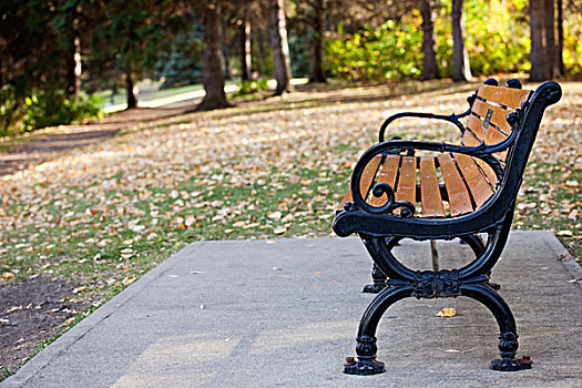 公园长椅,公园,艾伯塔省,加拿大