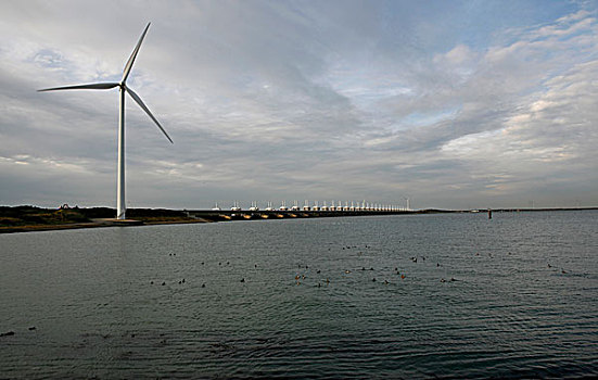风轮机,靠近,荷兰,欧洲