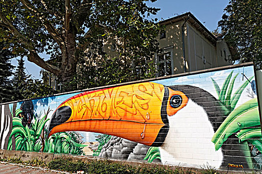 巨嘴鸟,涂鸦,墙壁,动物园,北莱茵威斯特伐利亚,德国,欧洲