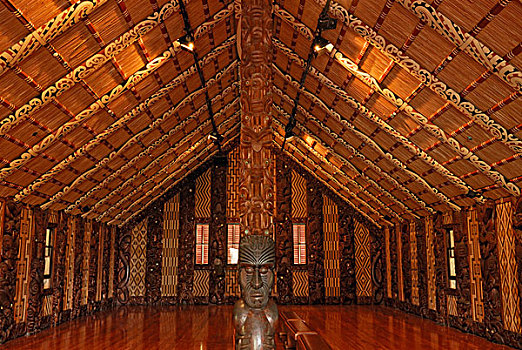 毛利人,会面,房子,协议,地面,北岛,新西兰