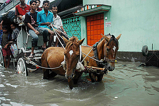 洪水,道路,马车,季风,达卡,孟加拉,2007年
