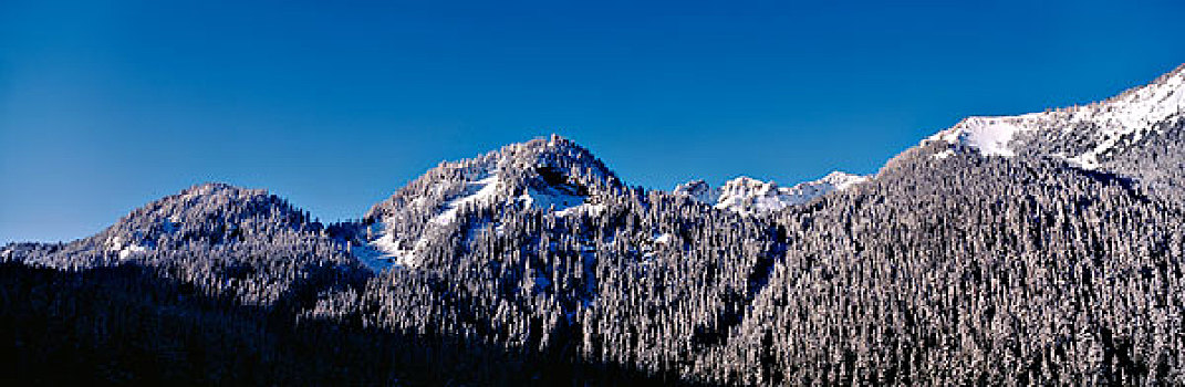 美国,华盛顿,雷尼尔山国家公园,喀斯喀特山脉,积雪,山,树,大幅,尺寸