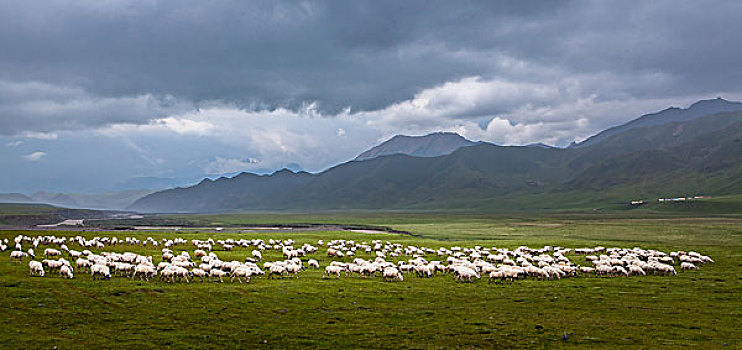 山丹祁连山军马场美景