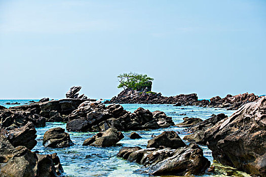 珊瑚岛
