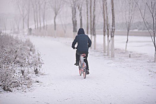 雪中