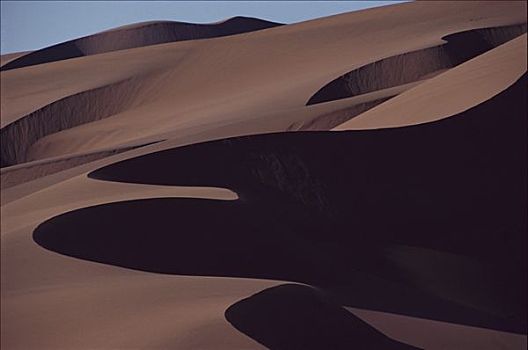 影子,纳米布沙漠,纳米比亚