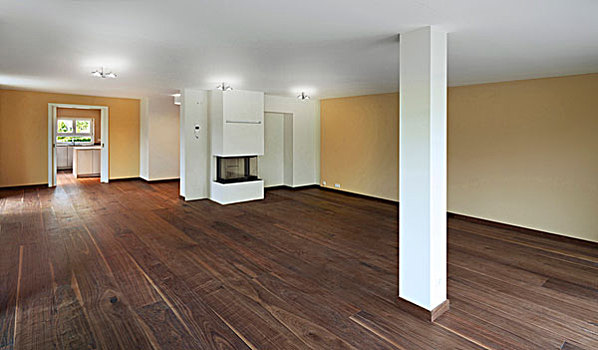 空房,客厅,实木地板