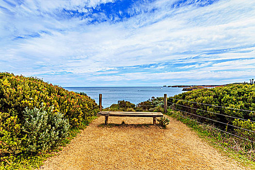 天际线,长,椅子,海岸线,澳大利亚