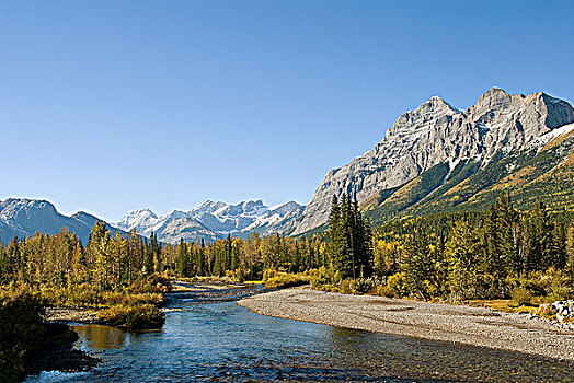 溪流,卡纳纳斯基斯县,南方,落基山脉,艾伯塔省,加拿大