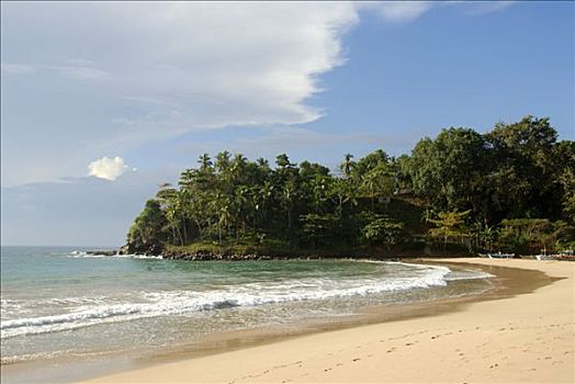 湾,沙滩,靠近,印度洋,斯里兰卡,南亚,亚洲