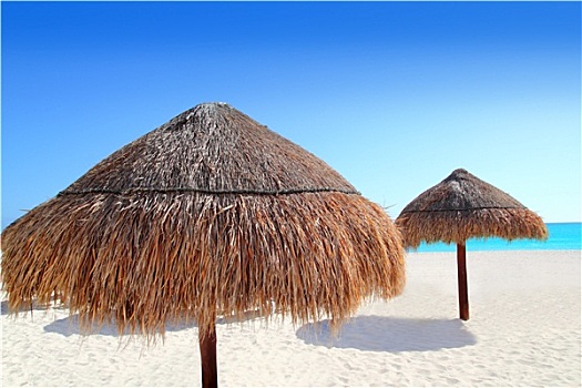 海滩,传统,天窗,小屋,加勒比,伞