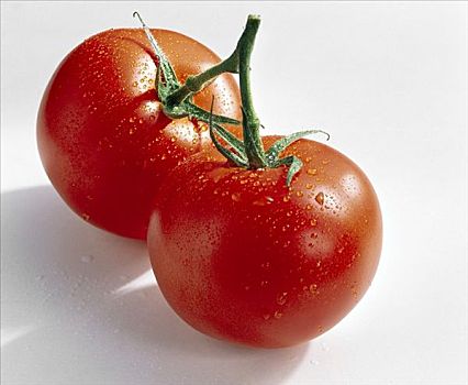 两个,西红柿,品种,水滴