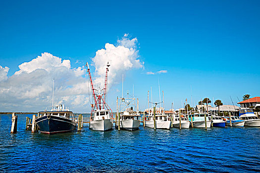 代托纳比奇,佛罗里达,港口,橙色,码头,美国