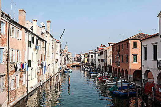 房子,运河,历史,中心,基奥贾,威尼托,意大利,欧洲
