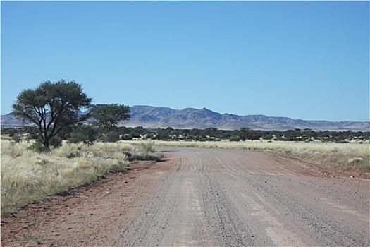 道路,纳米比亚
