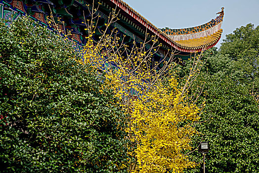 长沙古开福寺