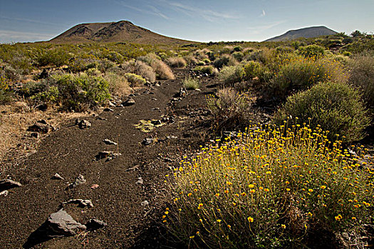 火山地貌,莫哈韦沙漠,国家,保存,加利福尼亚
