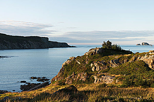 风景,大西洋,海岸,特威林盖特,纽芬兰,拉布拉多犬,加拿大