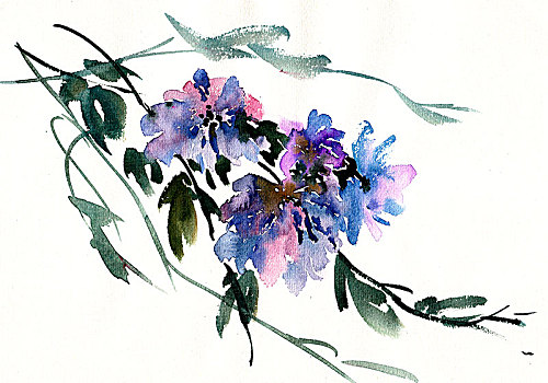 手繪花卉