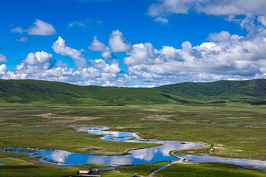 郭莽湿地