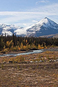 溪流,深秋,叶子,秋色,秋天,山峦,克卢恩国家公园,自然保护区,后面,育空地区,加拿大