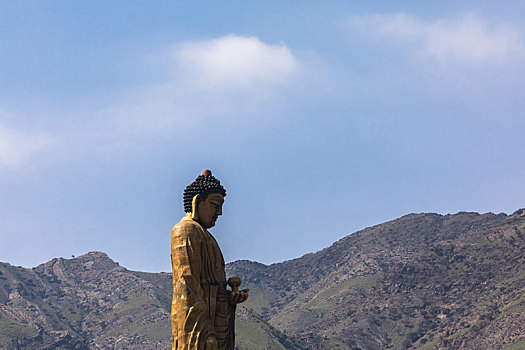 大水沟,西夏文化