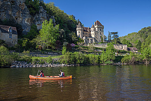 桨轮船,河,正面,城堡,法国