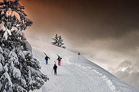上面,山,滑雪