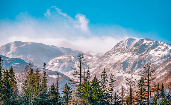 长白山北坡景区冬季