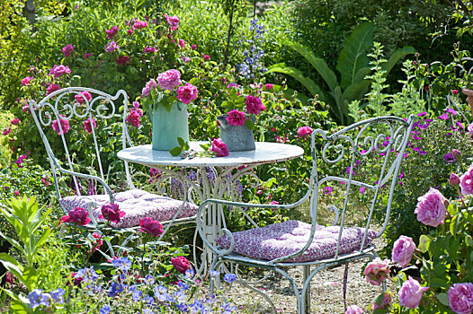 座椅,玫瑰园,花,床