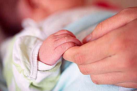 婴儿的手在母亲手中,爱和家庭的概念,母亲和婴儿的特写镜头