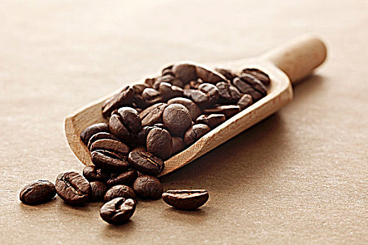 咖啡豆,木铲