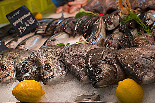 铜盆鱼,鱼市