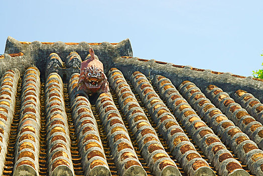 岛屿,冲绳,日本