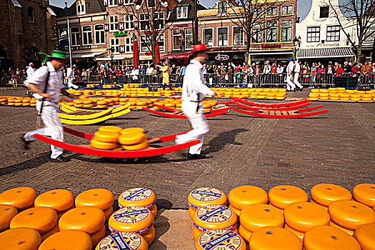 奶酪,市场,阿尔克马尔镇,北荷兰,荷兰,欧洲