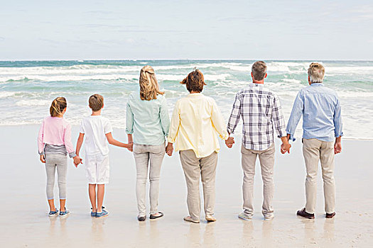 家庭,站立,旁侧,一个,海滩