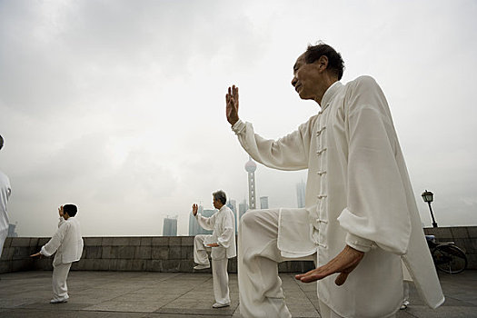 草地女人,练习,健身实心球人,跑步机人,练习,太极拳女人,伸展,树林拿