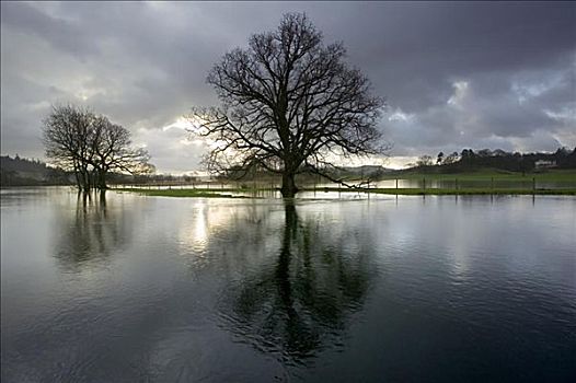 洪水,河,坎布里亚,英格兰