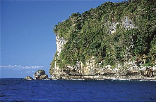 峻岸,雨林,汤加,岛屿,南太平洋