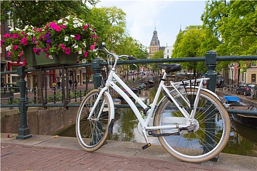 白人,自行车,阿姆斯特丹