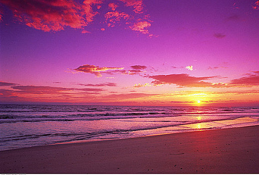 日落,上方,海滩,佛罗里达,美国