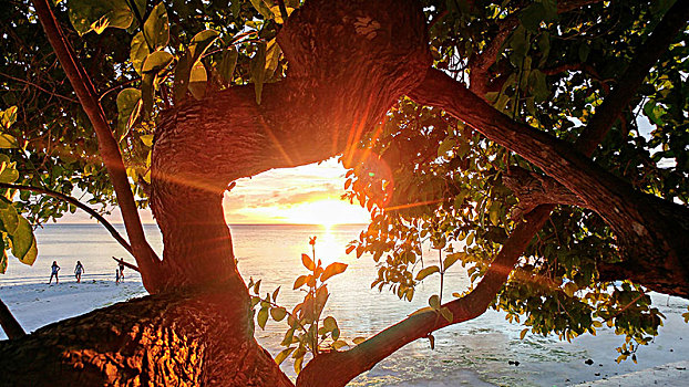 日落,海滩,岛屿,菲律宾